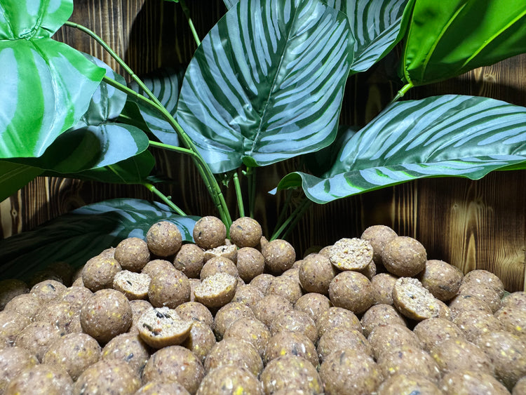 boilie-the-cruncher-carpcatchers.nl