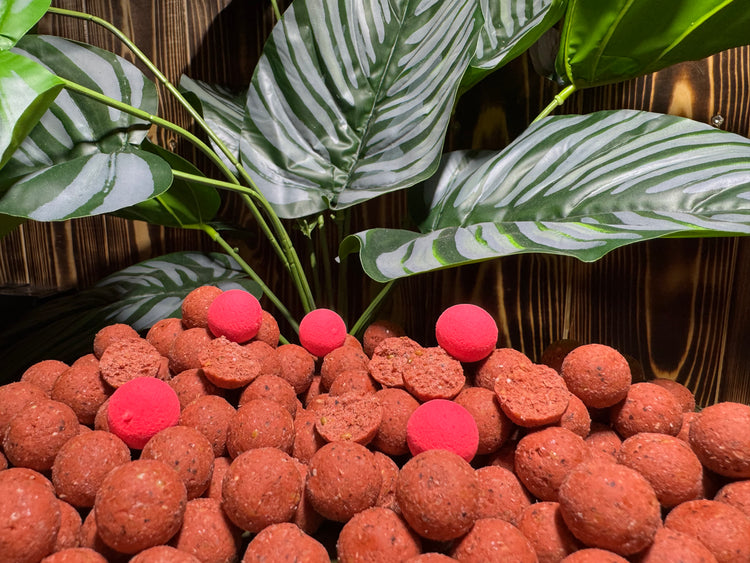 red-ripper-boilies-carpcatchers-pop-up