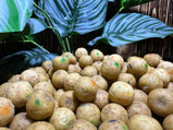 Mystic Fruit Premium | Carpcatchers.nl
