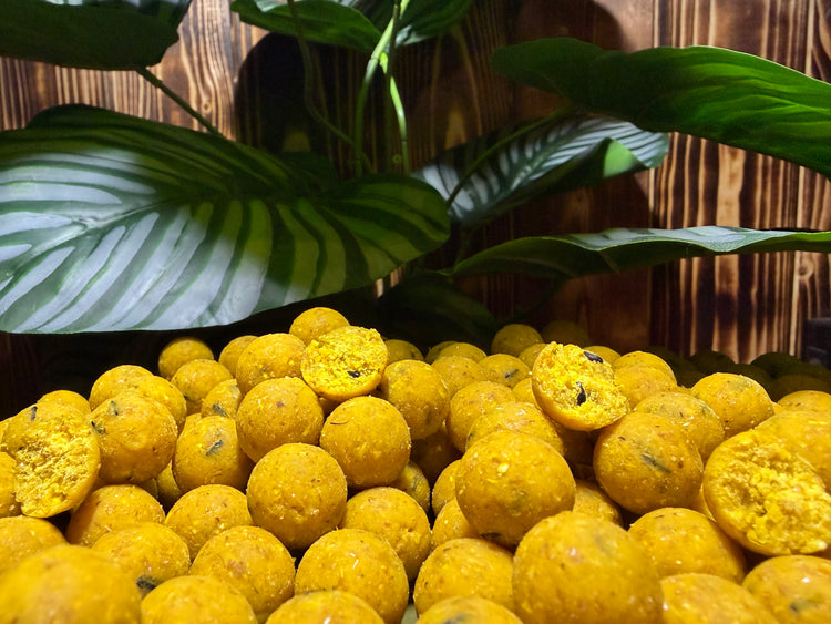 Golden Scopex Boilies