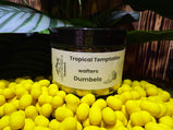 Tropical Temptation Wafter Dumbells (klein)