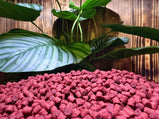 Bloodworm Liver pellets 4,5mm