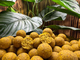 Golden Scopex Boilies