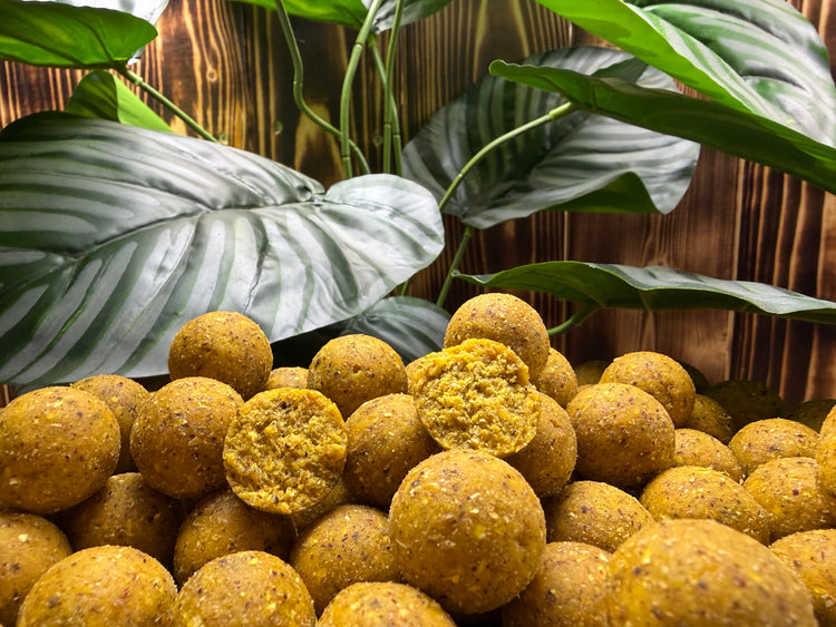 Golden Scopex Boilies