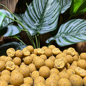 Tropical-Terror-ananas-boilies-carpcatchers