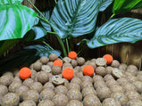 boilie-pop-up-the-cruncher-carpcatchers.nl