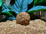 Cloudy Stick Mix 1.5KG – compacte stickmix met wolkvormende werking, ideaal voor instant karpervissen – Carpcatchers
