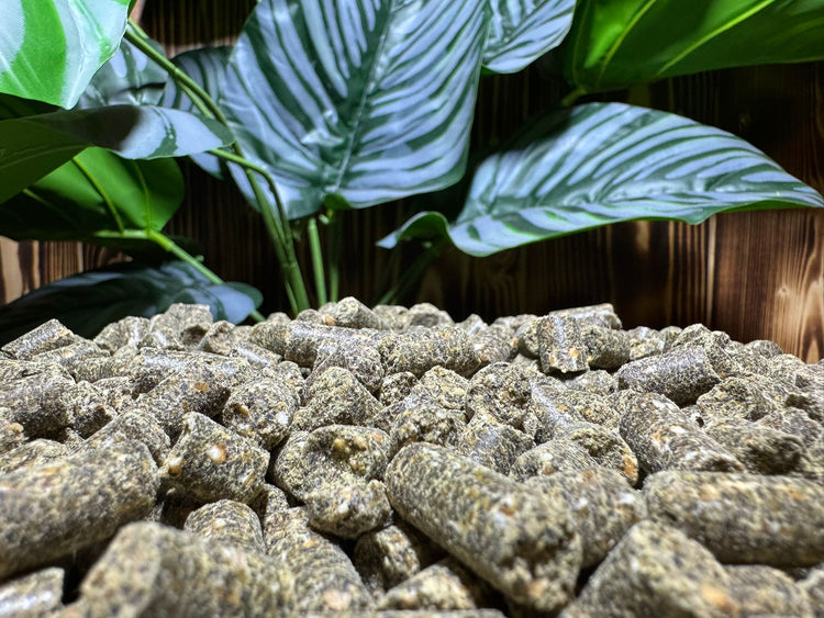 karper voer pellets hennep