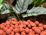 red-ripper-boilies-carpcatchers